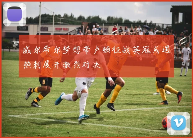 威尔希尔梦想带卢顿征战英冠或遇热刺展开激烈对决